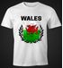 EM WM T-Shirt Herren Fußball Wales Flagge Vintage Fanshirt MoonWorks®preview