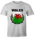 EM WM T-Shirt Herren Fußball Wales Flagge Vintage Fanshirt MoonWorks®preview