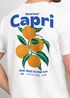 Herren T-Shirt Backprint Vintage Capri Orangen Grafikprint Fashion Streetstyle Neverless®preview