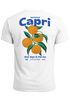 Herren T-Shirt Backprint Vintage Capri Orangen Grafikprint Fashion Streetstyle Neverless®preview