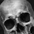 Herren T-Shirt Totenkopf Skull Totenschädel Aufdruck Print Motiv Fashion Streetstyle Neverless®preview