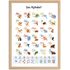 Poster Alphabet für Kinder Lernposter Buchstaben Zahlen ABC Tiere Geschenk Einschulung Lernen | DIN A5, A4, A3 SpecialMe®preview