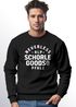 Sweatshirt Herren Pfalz-Schorle Heimat Pfälzer Aufdruck Print Schrift Pullover Pulli Fashion Streetstyle Neverlesspreview