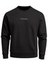 Sweatshirt Herren Pullover mit Backprint Schwarzweiß Palmen Design Minimal Streetwear Style Fashion Streetwear Neverless®preview