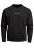 Sweatshirt Herren Pullover mit Backprint Schwarzweiß Palmen Design Minimal Streetwear Style Fashion Streetwear Neverless®preview