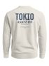Sweatshirt Herren Pullover mit Backprint Tokio Kantō Japan Asia Inspired Fashion Streetwear Neverless®preview