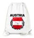 Turnbeutel Fußball EM WM Österreich Vintage Flagge Austria Flag Gymbag Moonworks®preview