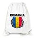 Turnbeutel Fußball EM WM Rumänien Flagge Vintage Romania Flag Gymbag Moonworks®preview