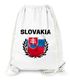 Turnbeutel Fußball EM WM Slowakei Flagge Vintage Slovakia Flag Gymbag Moonworks®preview