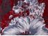 XXL Schlauchschal Infinity Loop Schal Rundschal Blumen Blüten Tube Scarf Floraler Print Autiga®preview