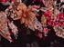XXL Schlauchschal Infinity Loop Schal Rundschal Paisley Tube Scarf Floraler Print Autiga®preview